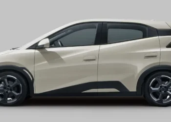 byd dolphin mini