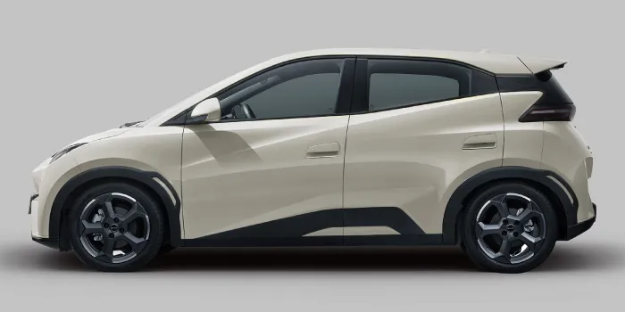 byd dolphin mini